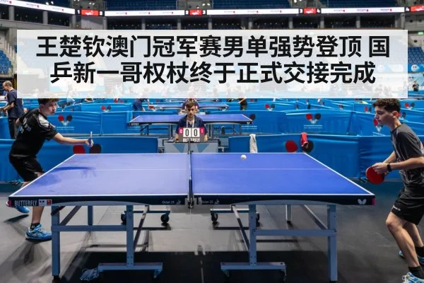 table tennis match action
